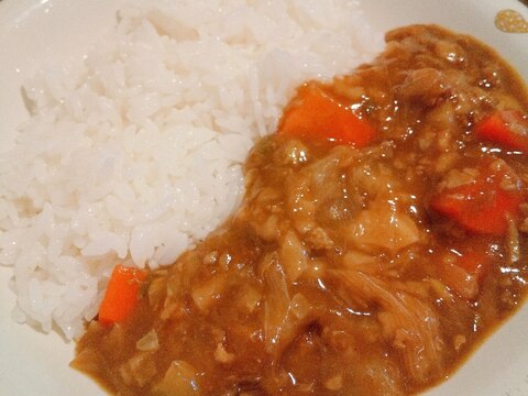 野菜と餃子入りカレーライス